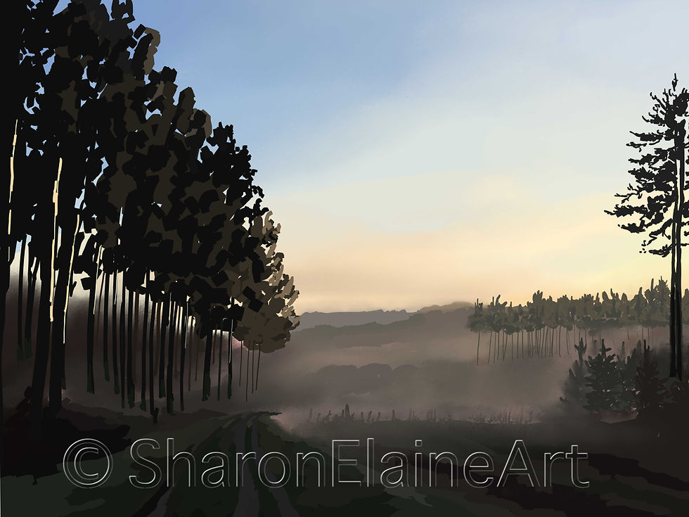 Sheringham Park "misty morn"