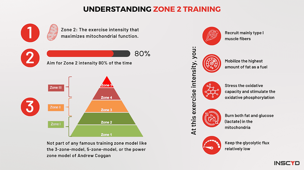 Infographic on Zone 2 training. Highlights benefits like fat mobilization, oxidative stress, and using 80% intensity for mitochondrial function.