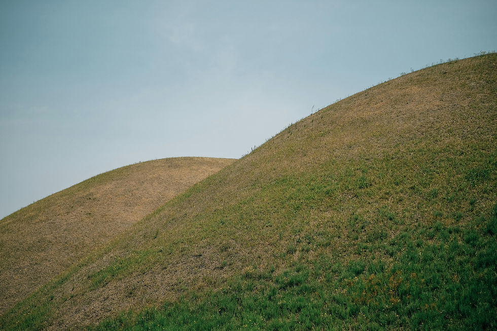 insung-yoon-LvVbmHYkKQY-unsplash.jpg