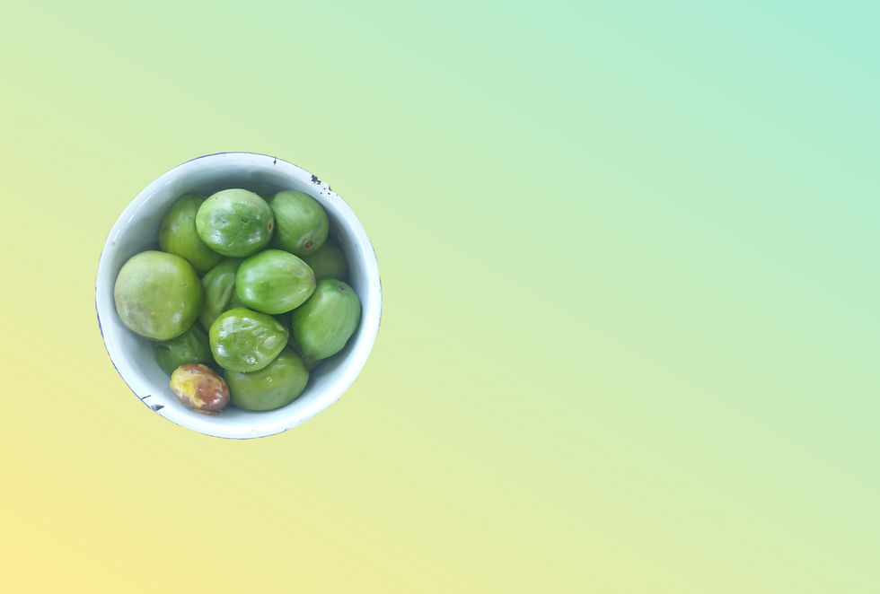 fruit du karité_edited_edited_edited.jpg