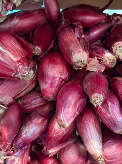 A basket full of fresh Tropea Onions