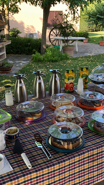 WhatsApp Image 2023-07-23 at 17.34.29.jpeg