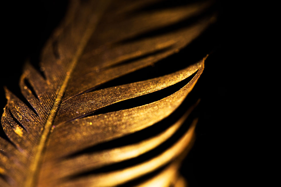 The feather is covered with gold paint close-up. Pen for calligraphy. Golden feather..jpg