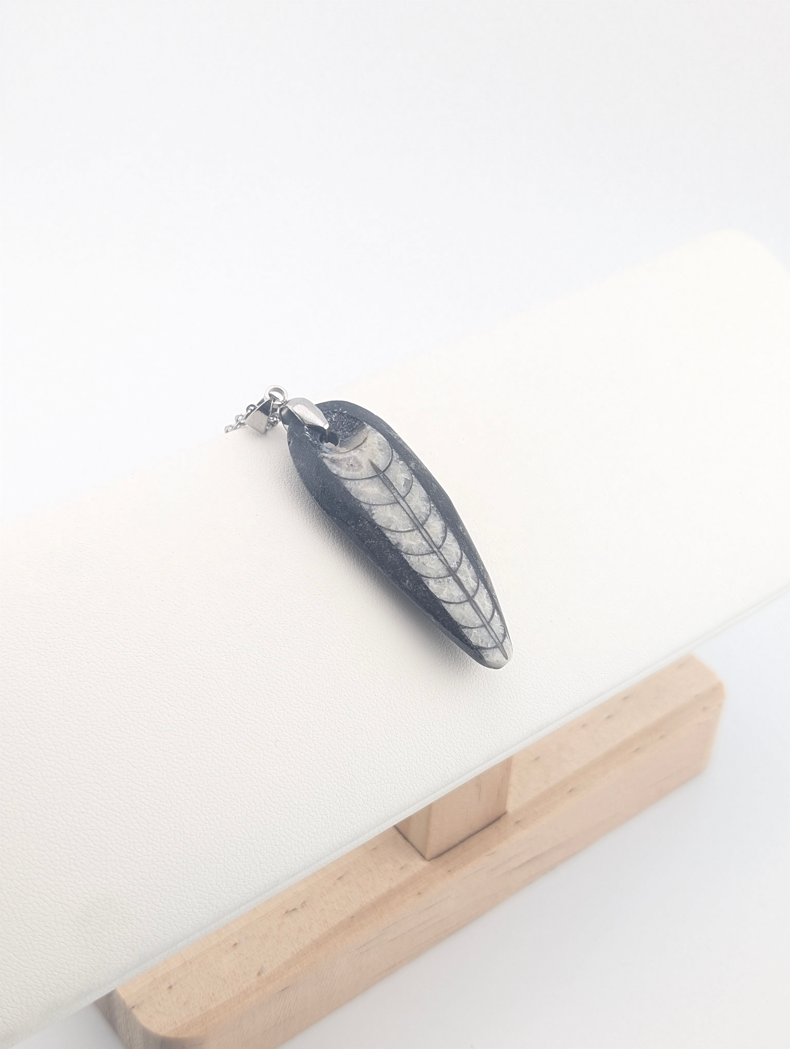 Pendentif Octhocera - fossile