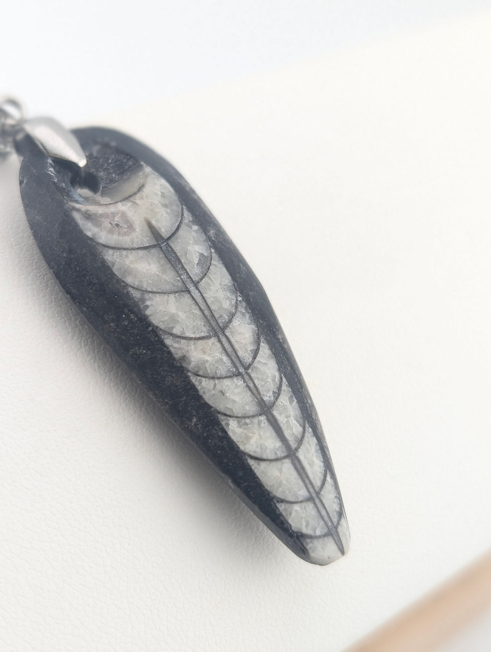 Miniature : Pendentif Octhocera - fossile 