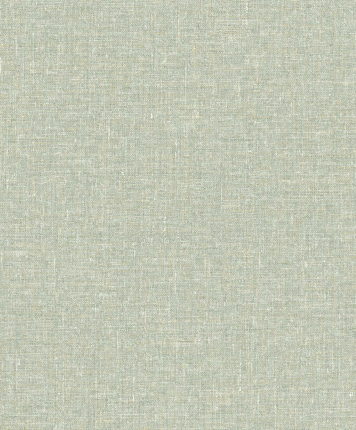 Natural Grass EN40917