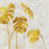 Miniature : Golden Monstera SX6-025