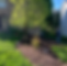 design3.png