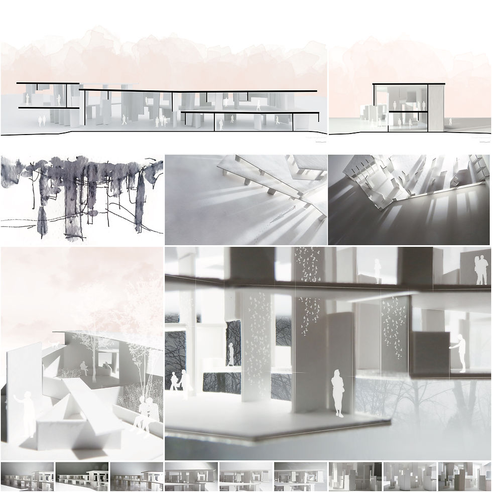 Planches_PresentationPreliminaire 2.jpeg