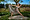 Sunnylands presents Nickerson-Rossi Dance