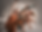 ChatGPT Image May 13, 2026 at 11_52_57 AM.png