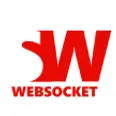 websocket
