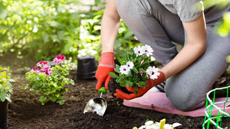 Plant a Marketing Garden that Flourishes & Doesn't Die on the Vine