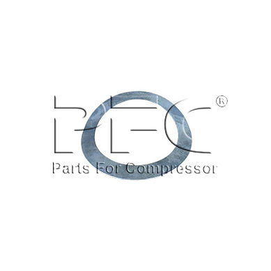 30221527IM Spring Valve InDis 4inch Aftermarket