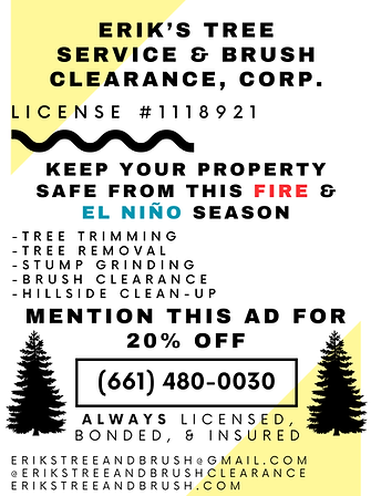 SCV Scanner Ad.png