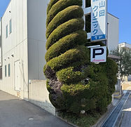 IMG_0102_edited.jpg