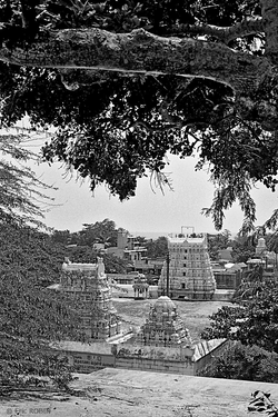Mahaballipuram 7, Tamil Nadu, India