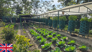 From Plate to Planet: Why Food, Agriculture and Climate must be understood as one system.
