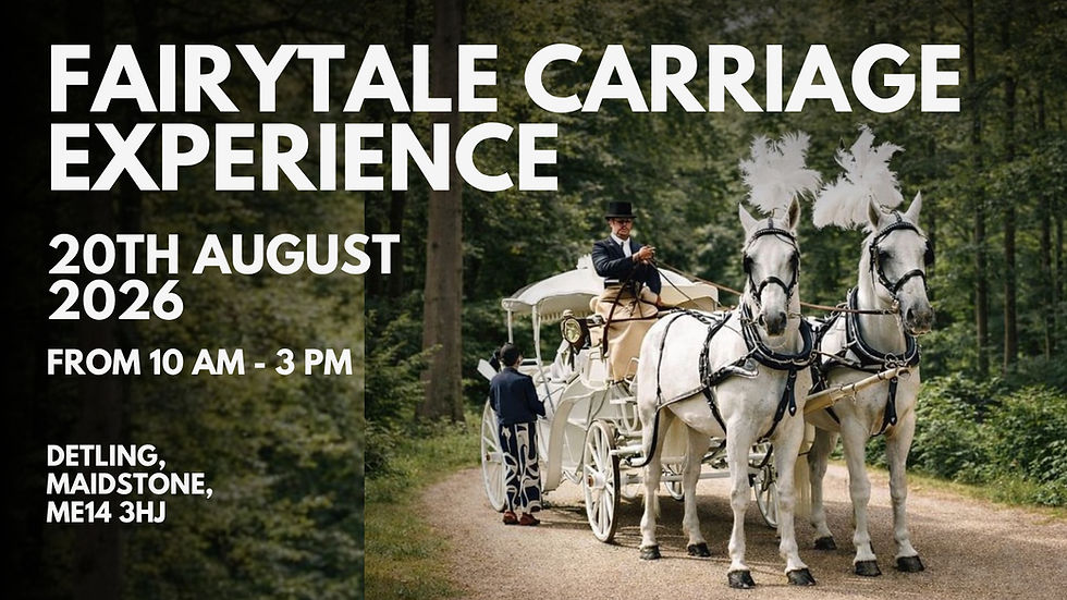 Fairytale Carriage Experience