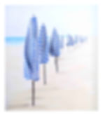 2020 collection (2)