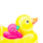 Duckling