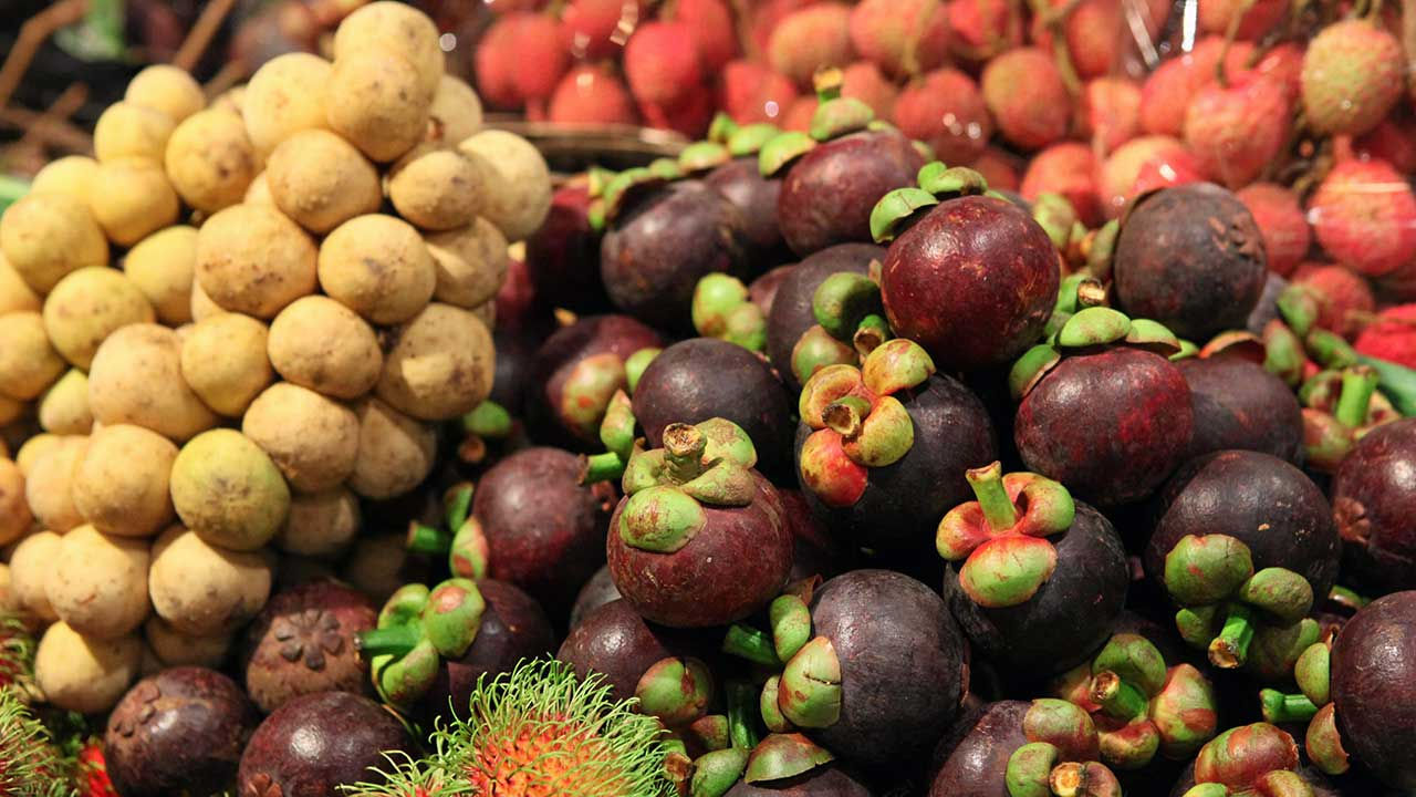 Fruit