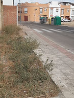 mocion_ponce_12.jpg