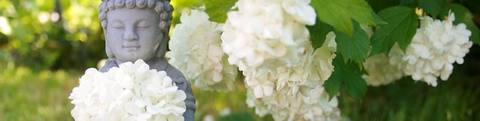 Buddha mit Blumen