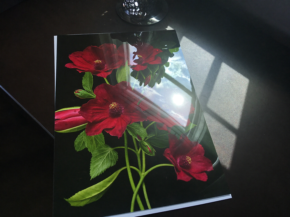 A floral print on a dark desk catches a bright reflection across its glossy surface.