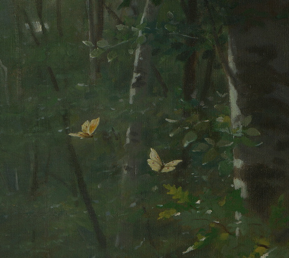 Two butterflies against the dark woodland foliage.