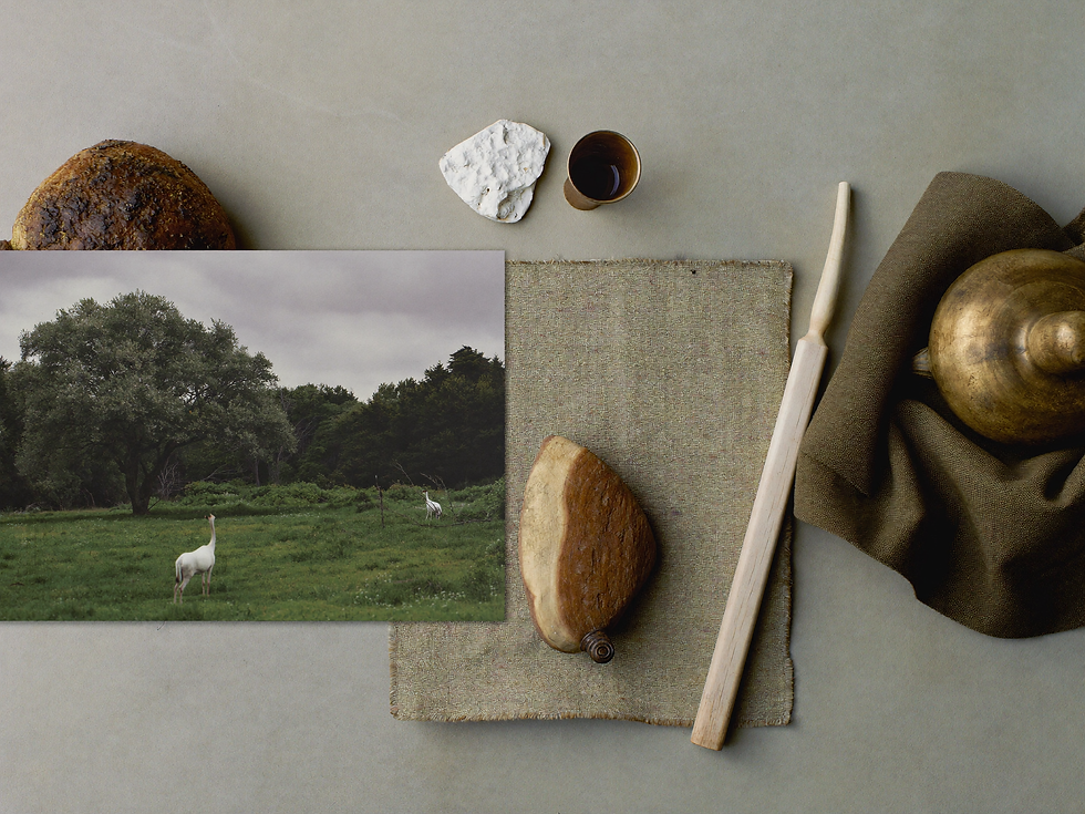 Pastoral landscape print beside linen, oak, stone, and muted green material samples.