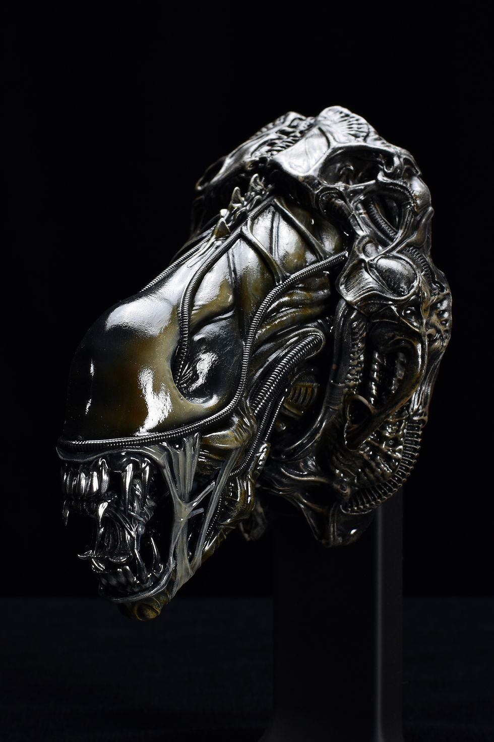 Thumbnail: 1:4 Scale Alien Warrior Wall Hanger