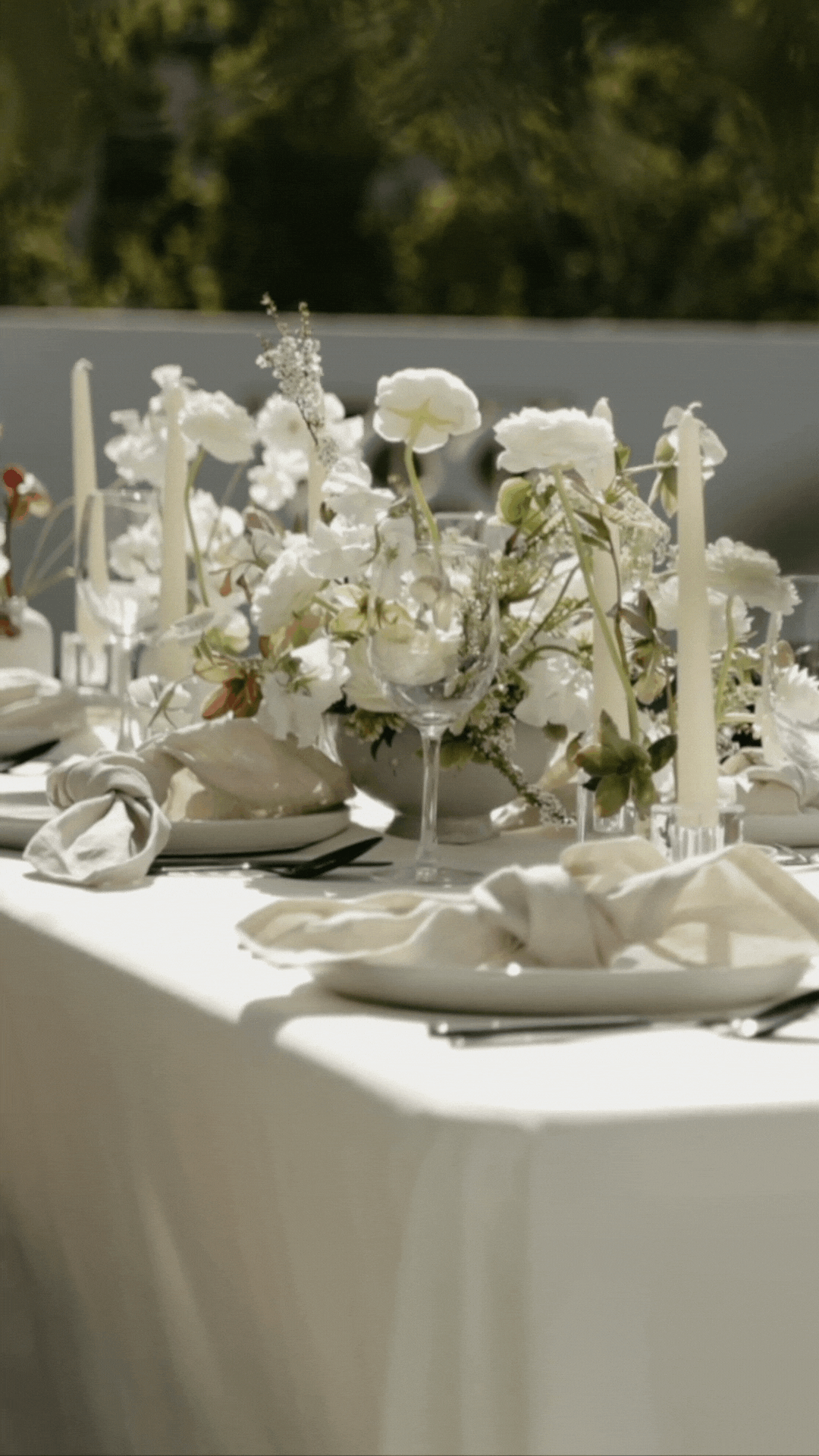 Copy of Untitled Design (1).gif