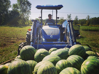 Another "Off" Week from the Winter Share