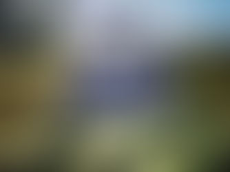 Another "Off" Week from the Winter Share