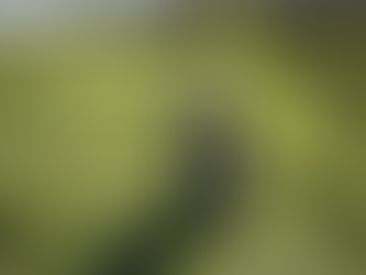 Wait List and Farm Update