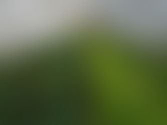 Winter Share #4 of 7- 12/2+12/4: Winter Might Be Here Early!?