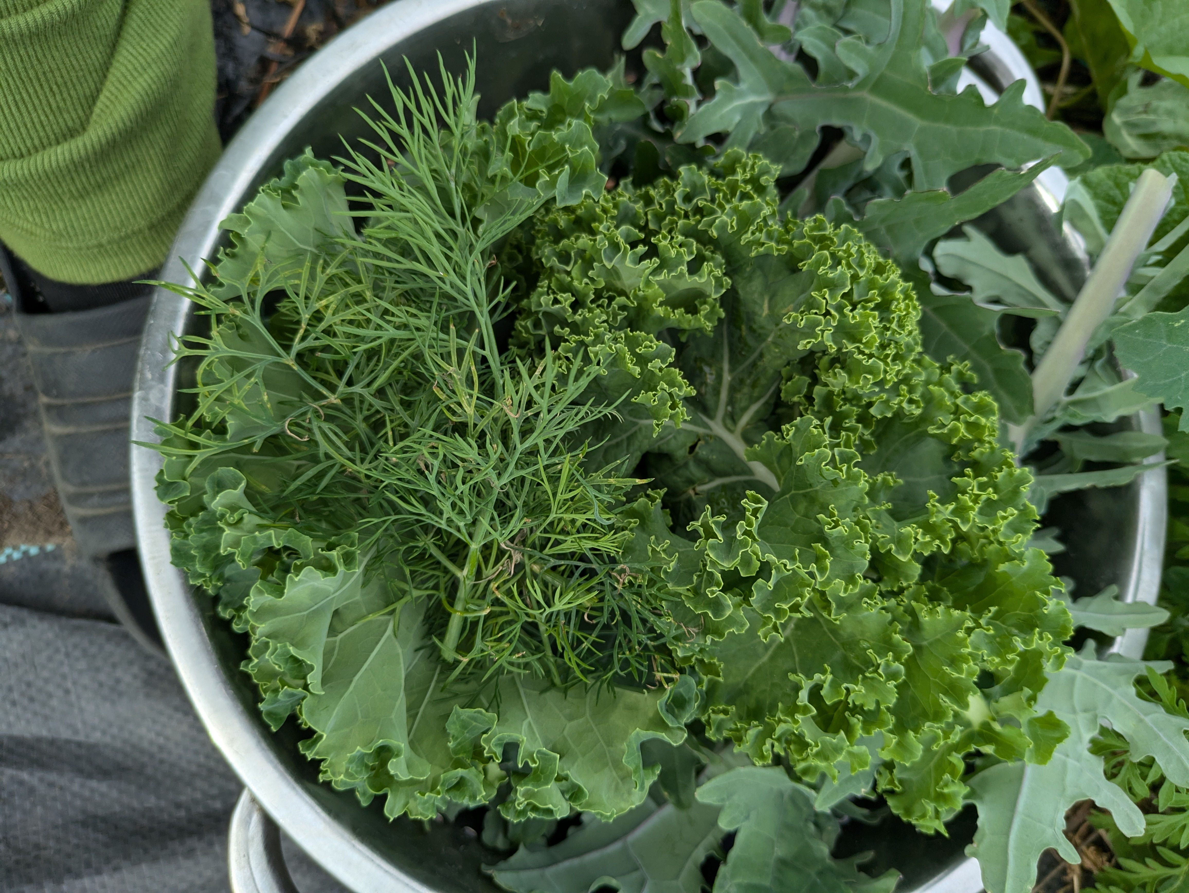 Plants, flowers, and produce