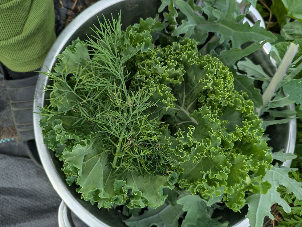 Thumbnail: Plants, flowers, and produce