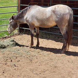 This is placeholder text. To change this content, double-click on the element and click Change Content.