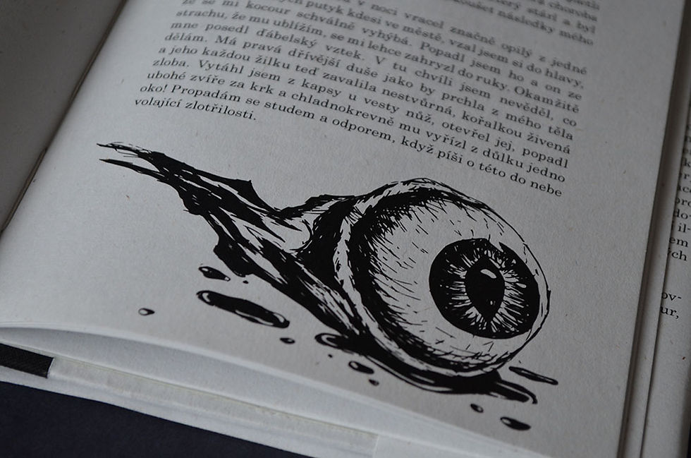 ilustrace – černý kocour