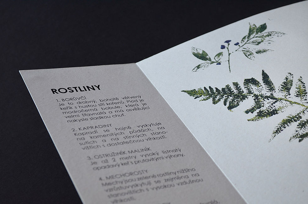 detail – rostliny