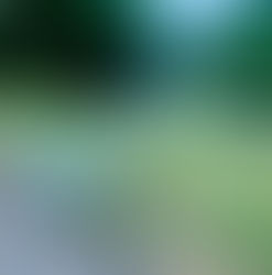 Drifting in Brierley Hill aye I?