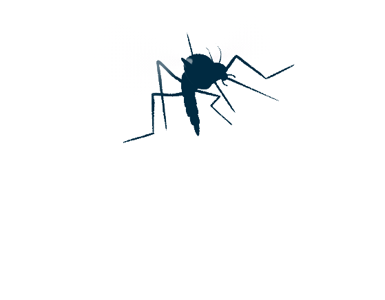 Mosquito_Silhueta_00004.gif