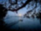 48ED380F-F464-42E4-BEC4-F86E2E48BCDF_1_201_a.jpeg