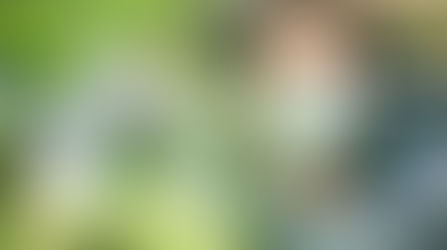 L'hôpital face au défi environnemental