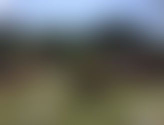 2021년 올해 성수기 시즌에도 많은 분들이 찾아와주셨네요.