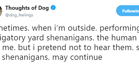 Man’s Best Friend or Social Media Influencer?