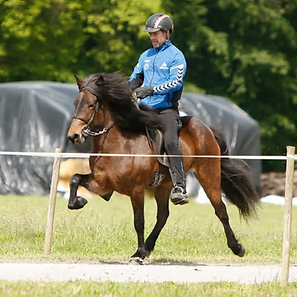 Ontwerp zonder titel (8).png