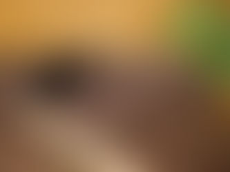 Journey through Lent